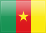 Cameroon flag