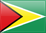 Guyana flag