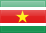 Suriname flag